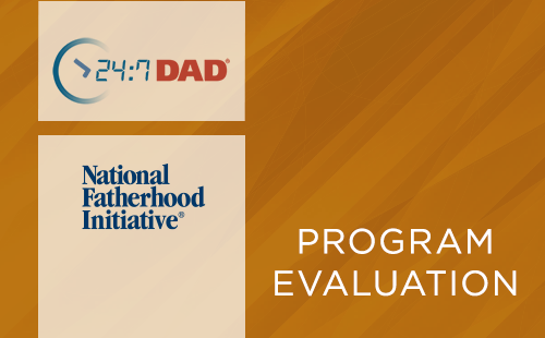 247-dad-nfi-2005-06-evaluation