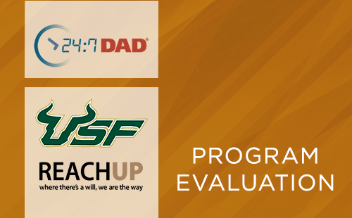 247-dad-usf-reachup-2021-evaluation